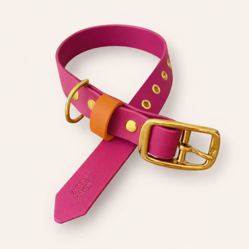 Collar - Fuchsia / Tangerine