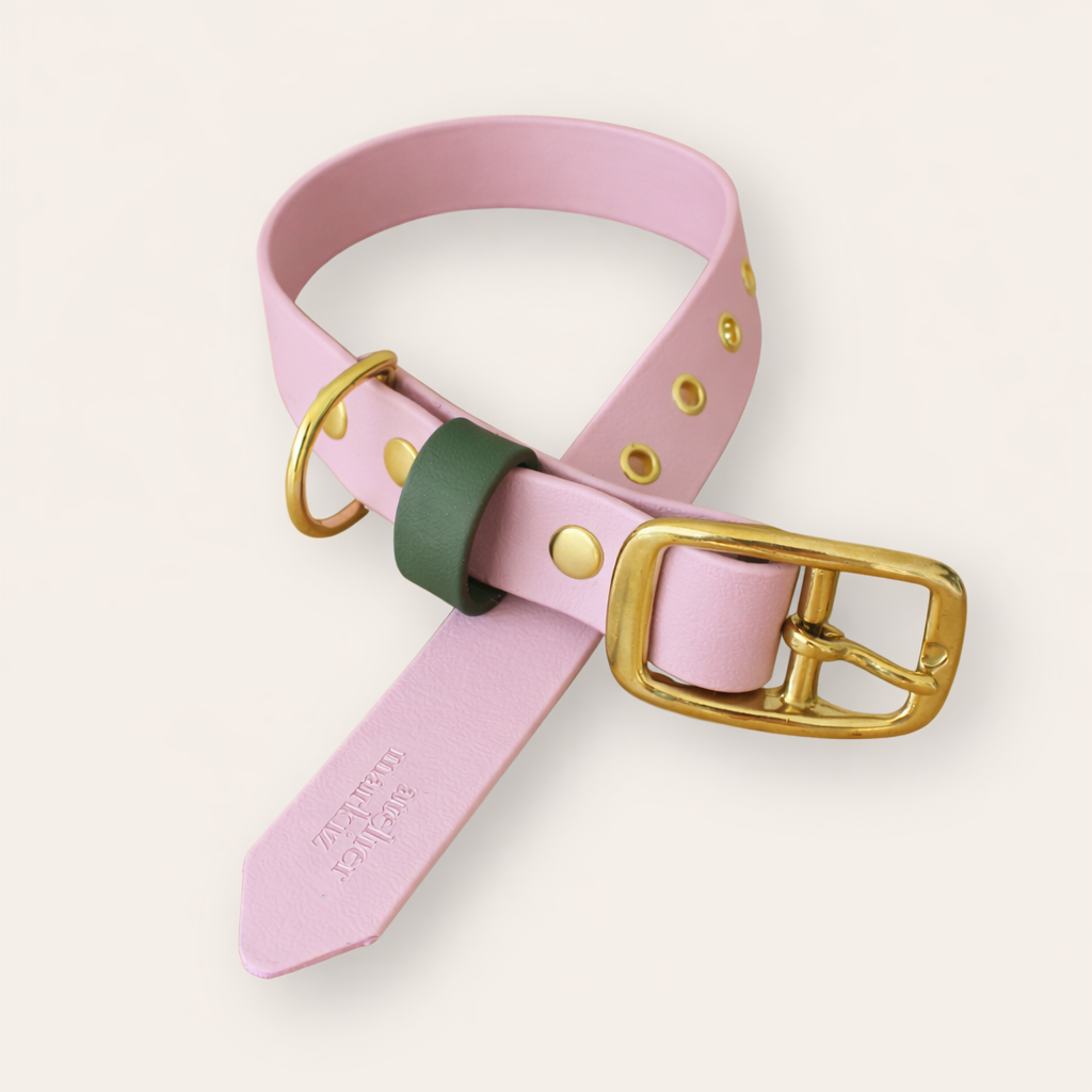 Collar - Light Pink / Foliage