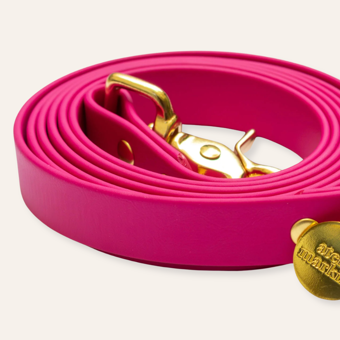 Collar & Leash - Fuchsia