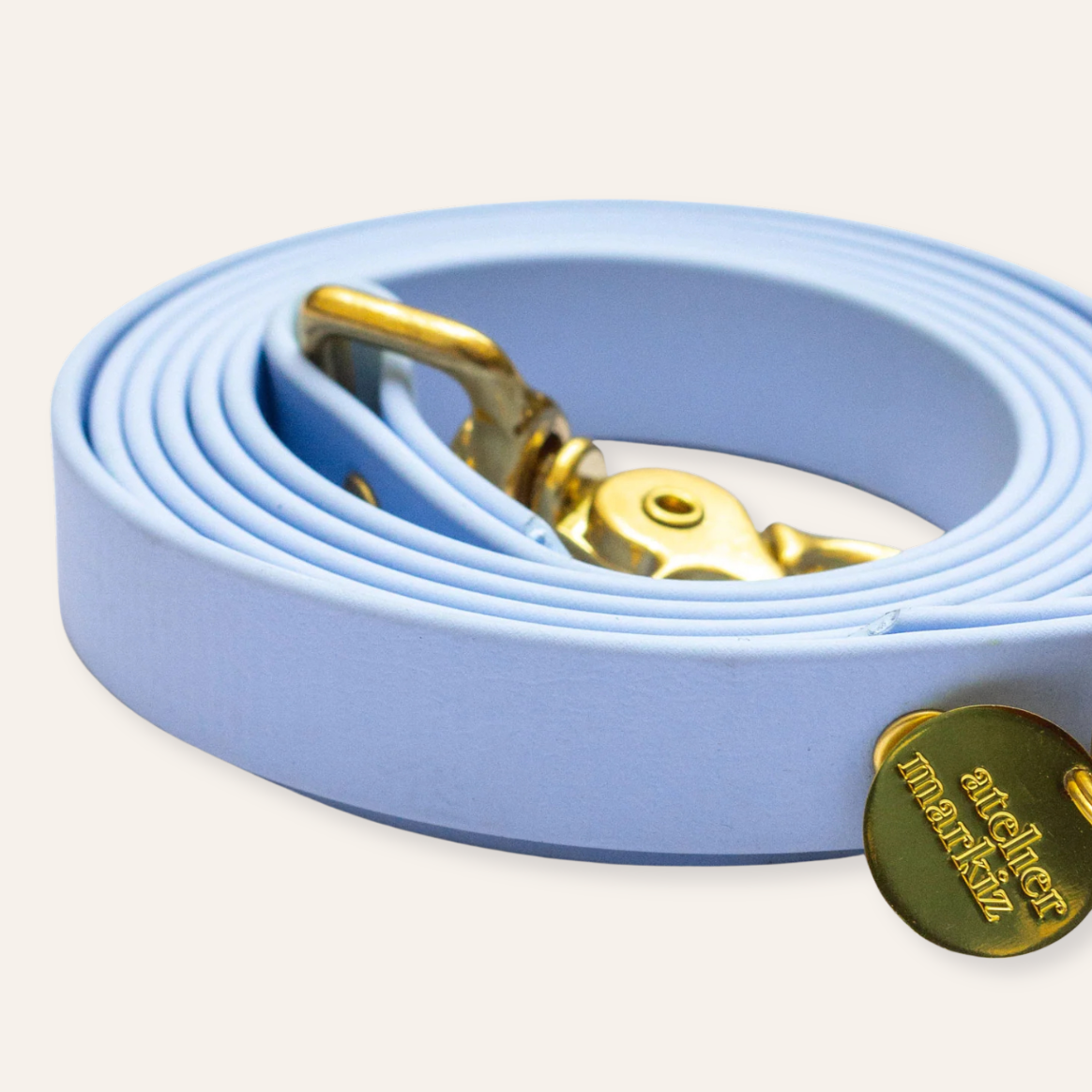 Waterproof Leash - Light Blue