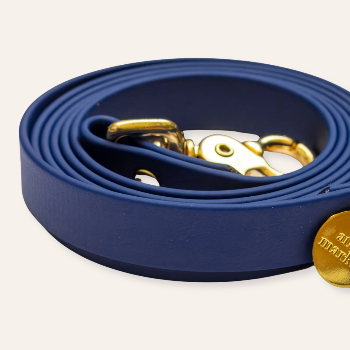 Collar & Leash - Navy