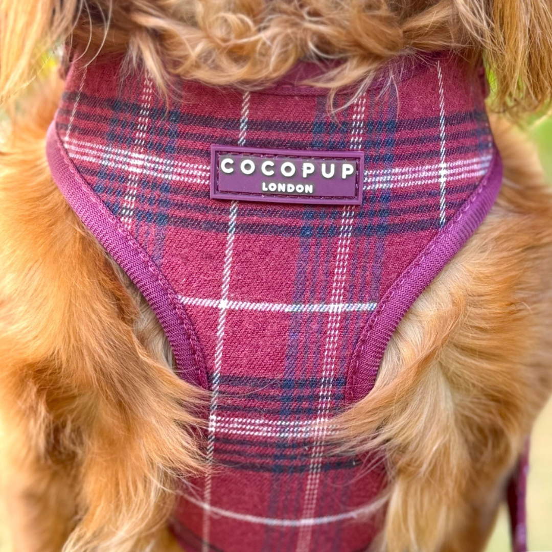 Adjustable Harness - Mulberry Plaid
