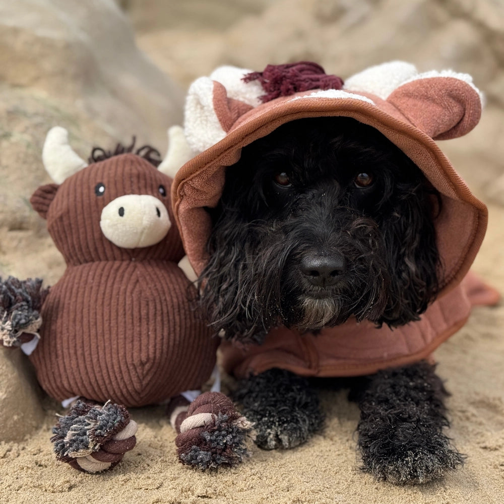 Highland Cow Toy