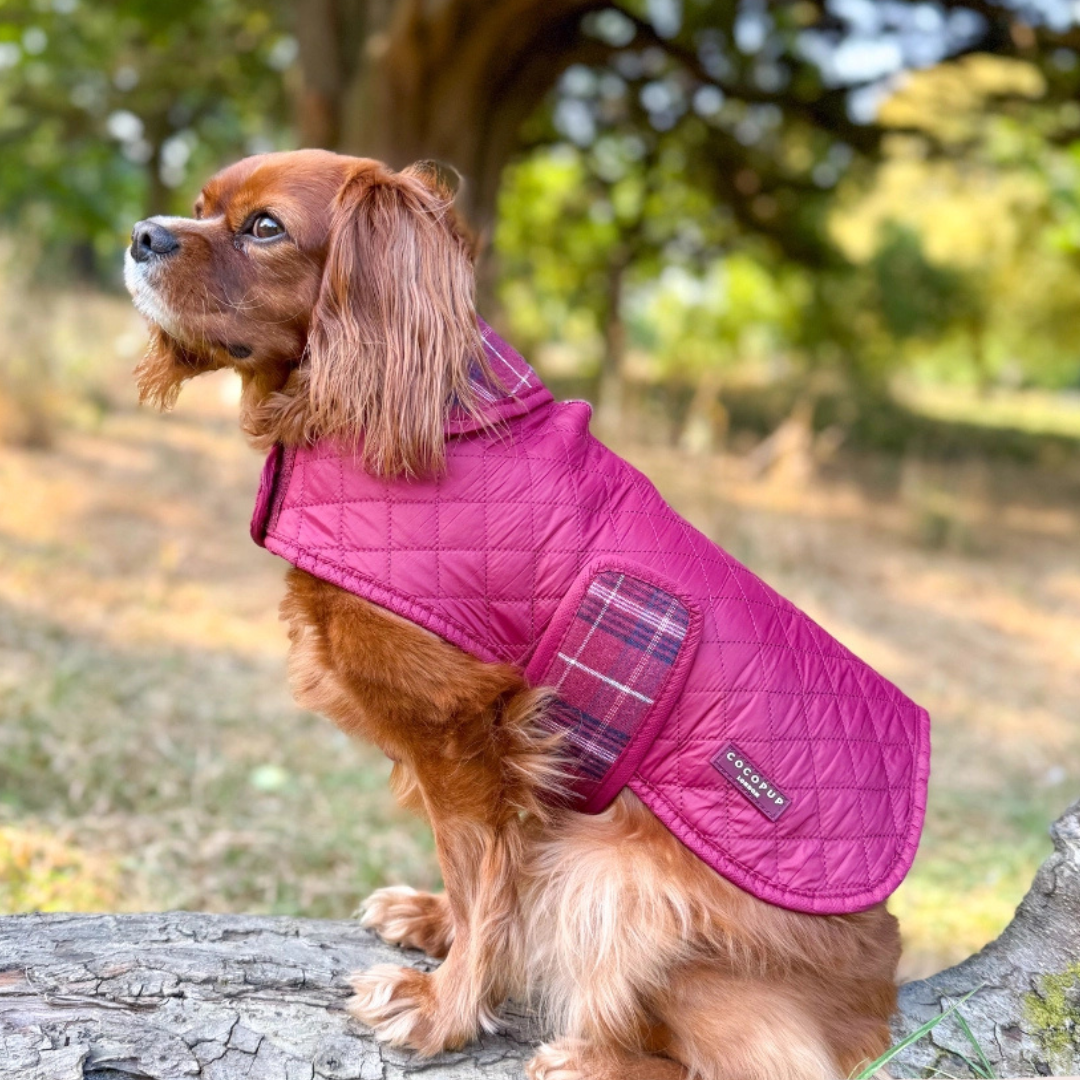 Quilted Coat - Mulberry Plaid