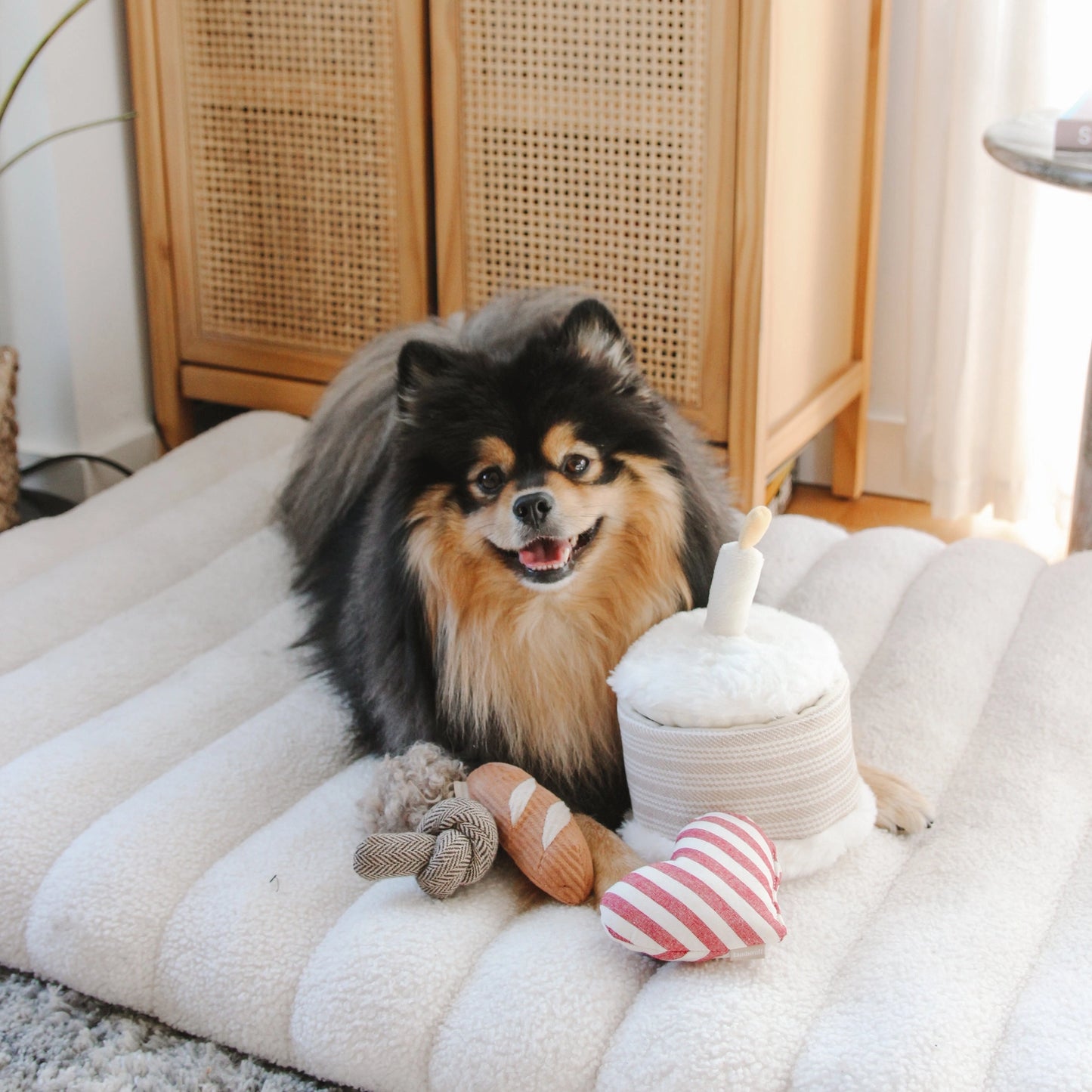 Birthday Cake Burrow Toy