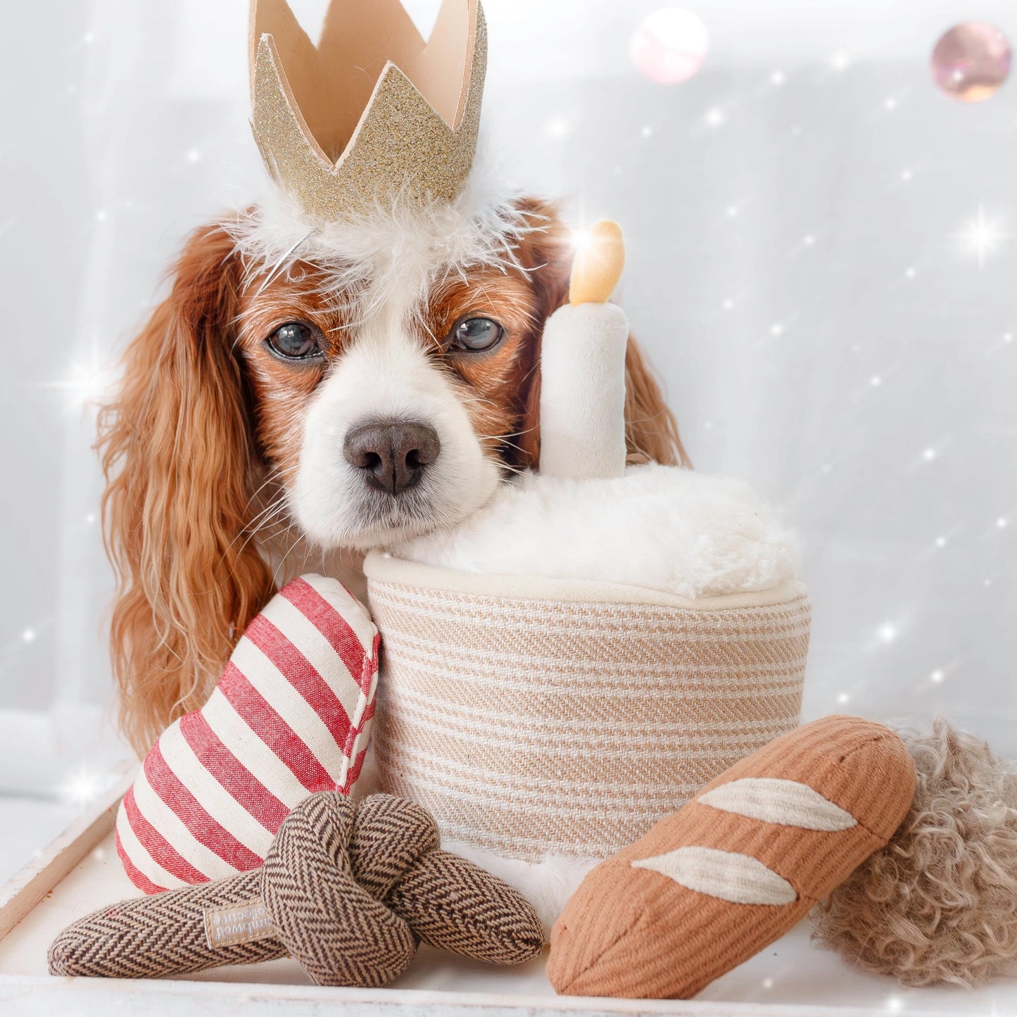 Birthday Cake Burrow Toy