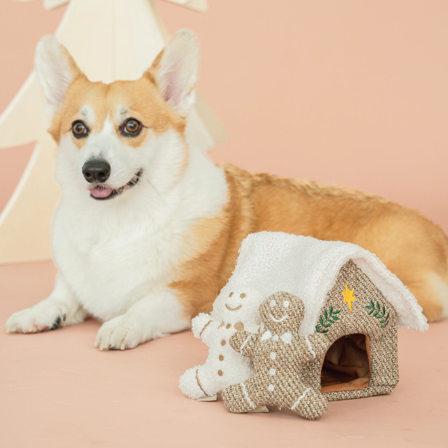 Gingerbread House Enrichment Toy