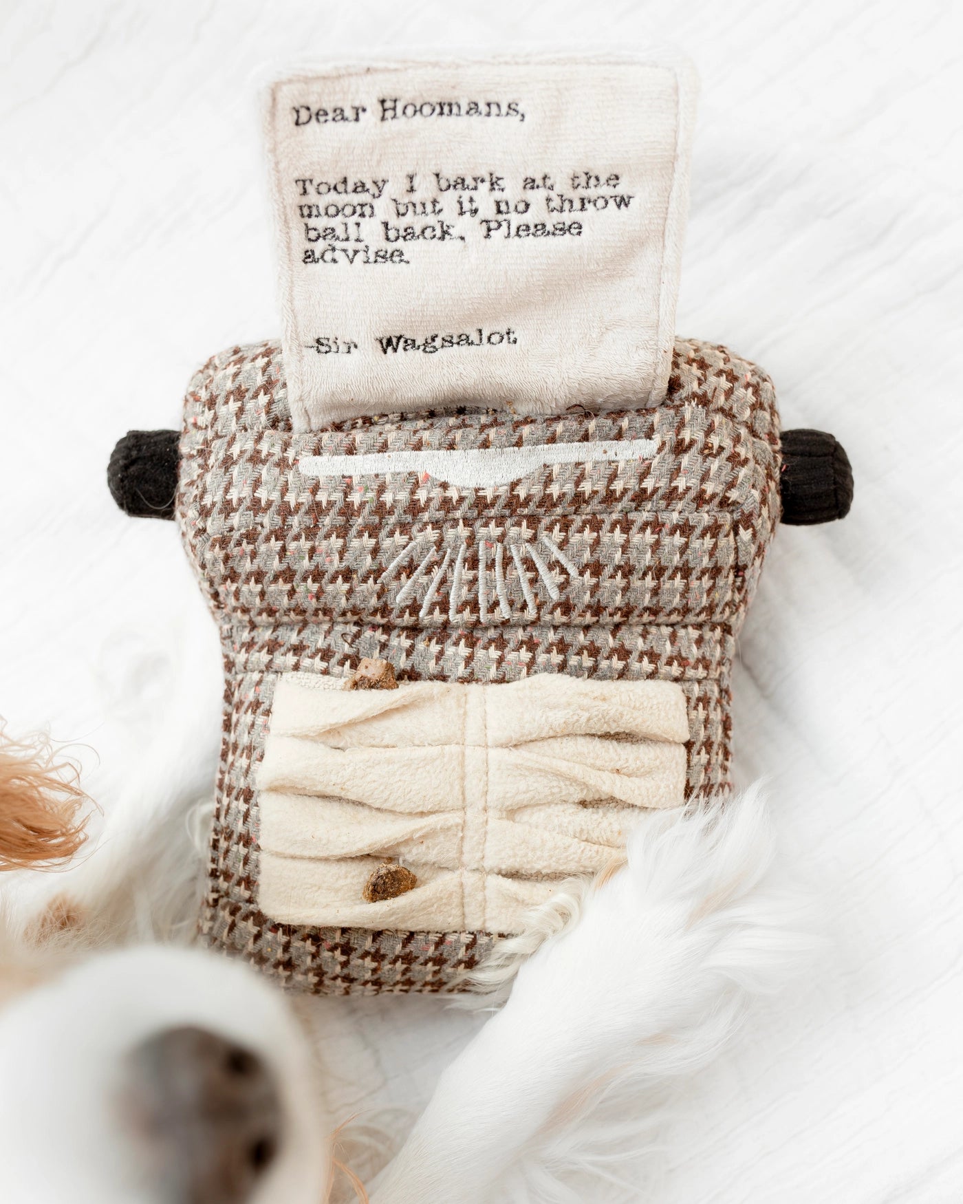Typewriter Enrichment Toy