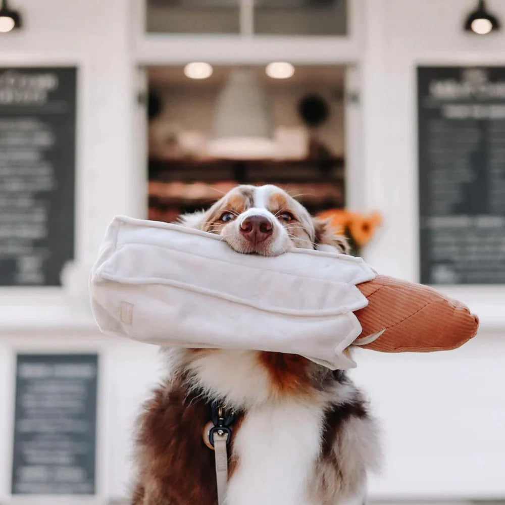 Baguette Enrichment Toy