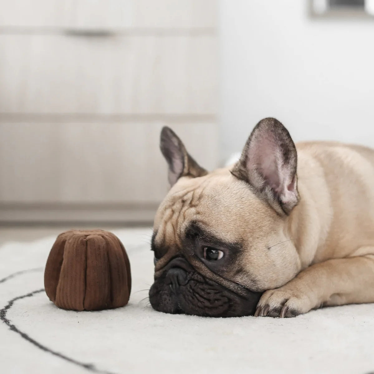 Canele Enrichment Toy