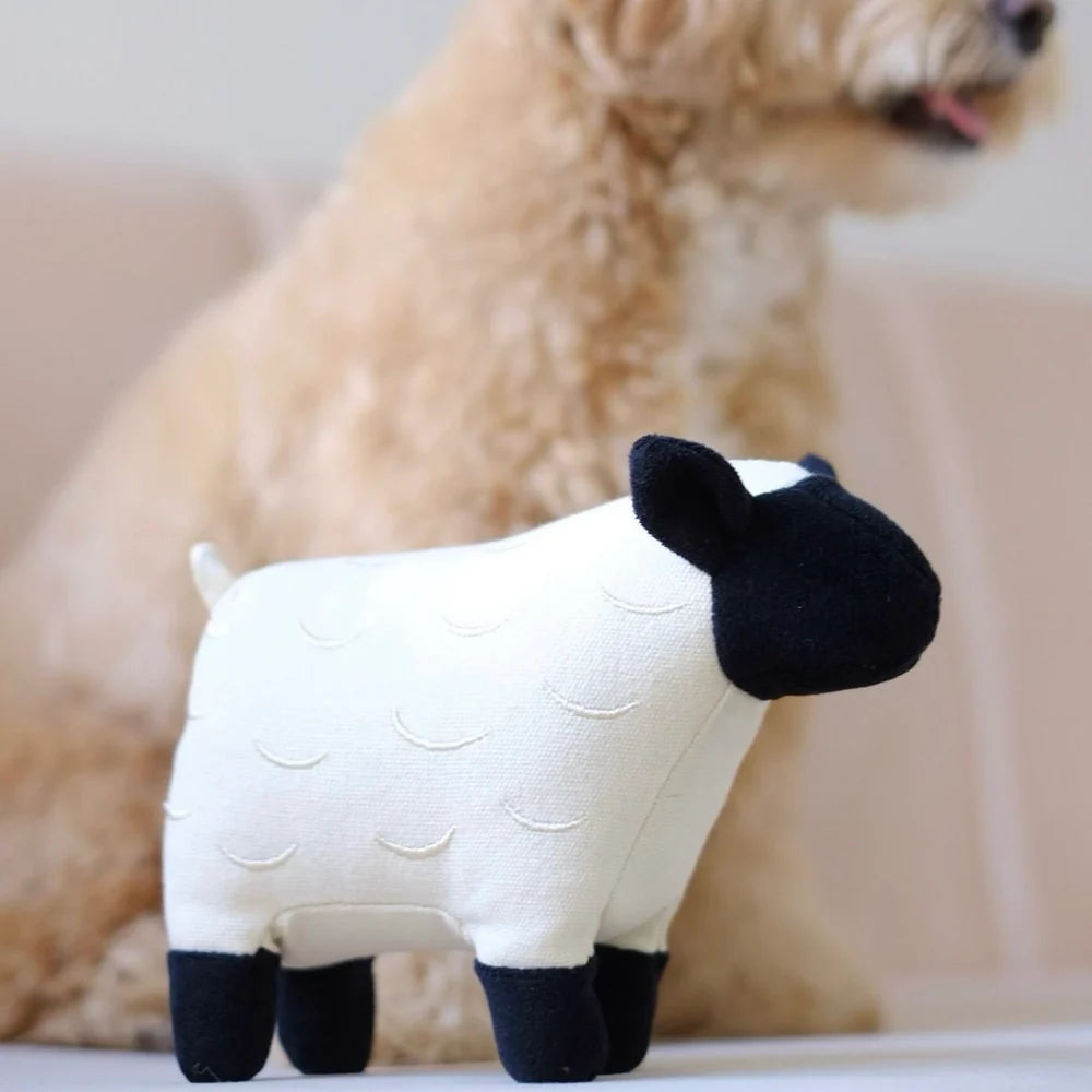 Dolly Plush Toy (+ Squeaker)