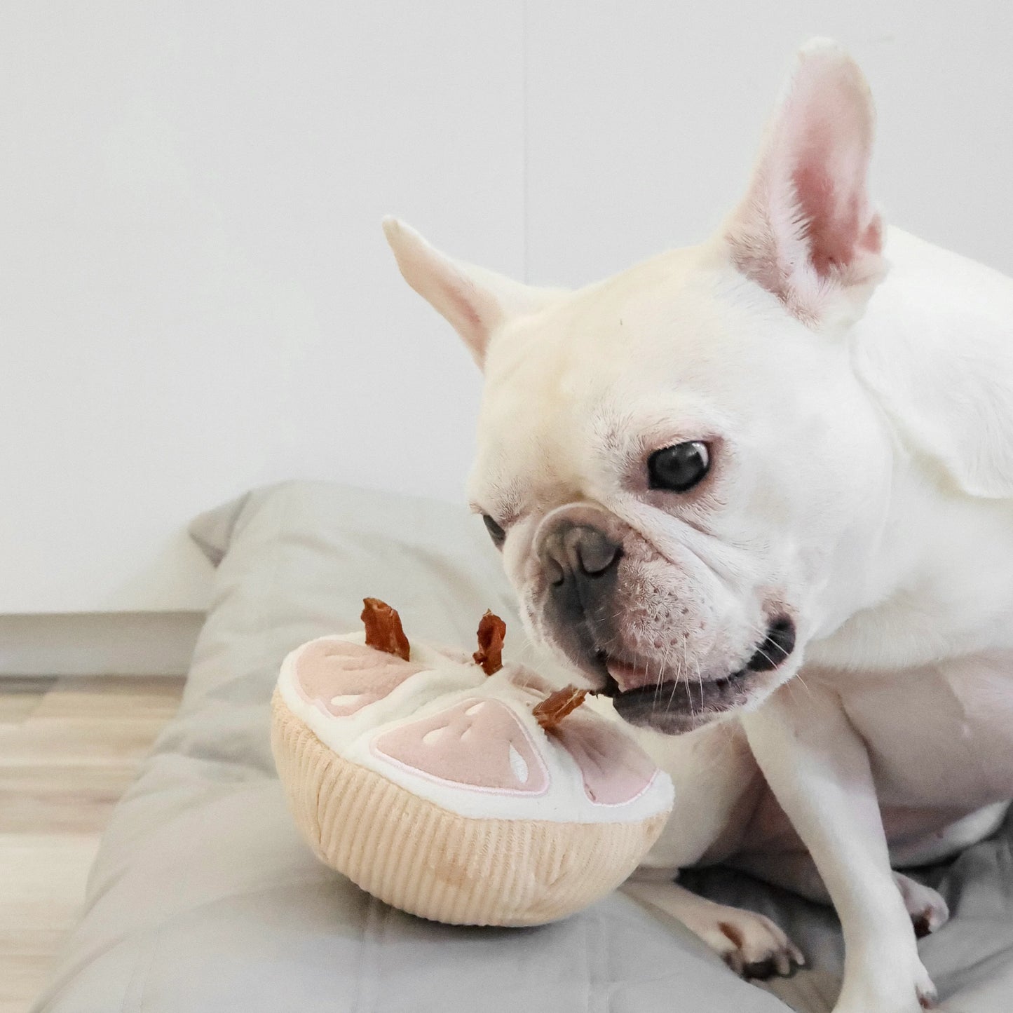Grapefruit Enrichment Toy