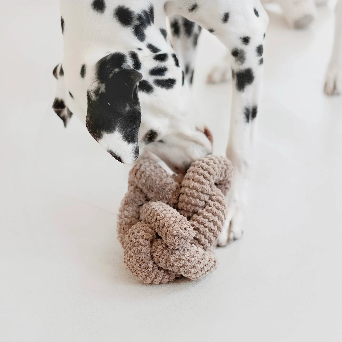 NOU Enrichment Toy