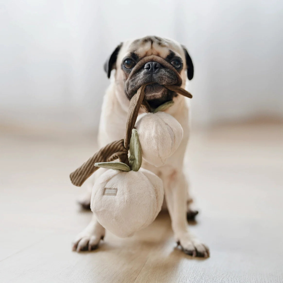 Peach Enrichment Toy