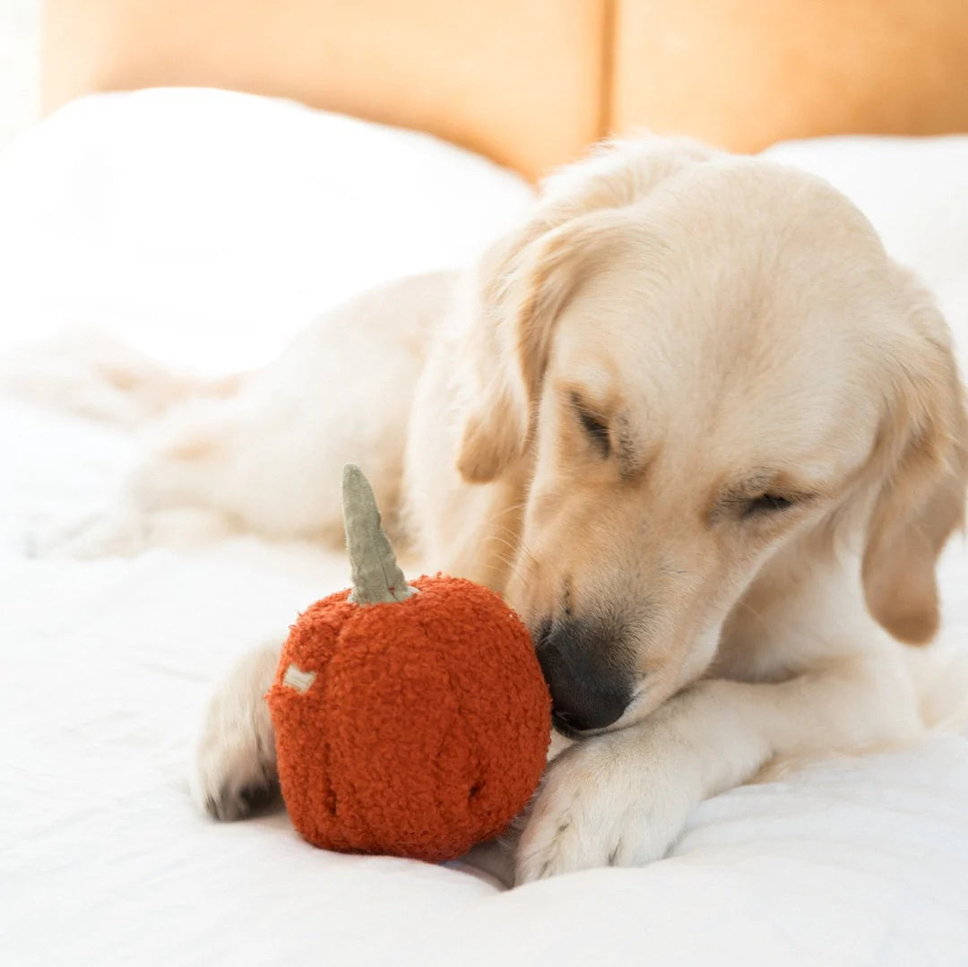 Pepper Enrichment Toy