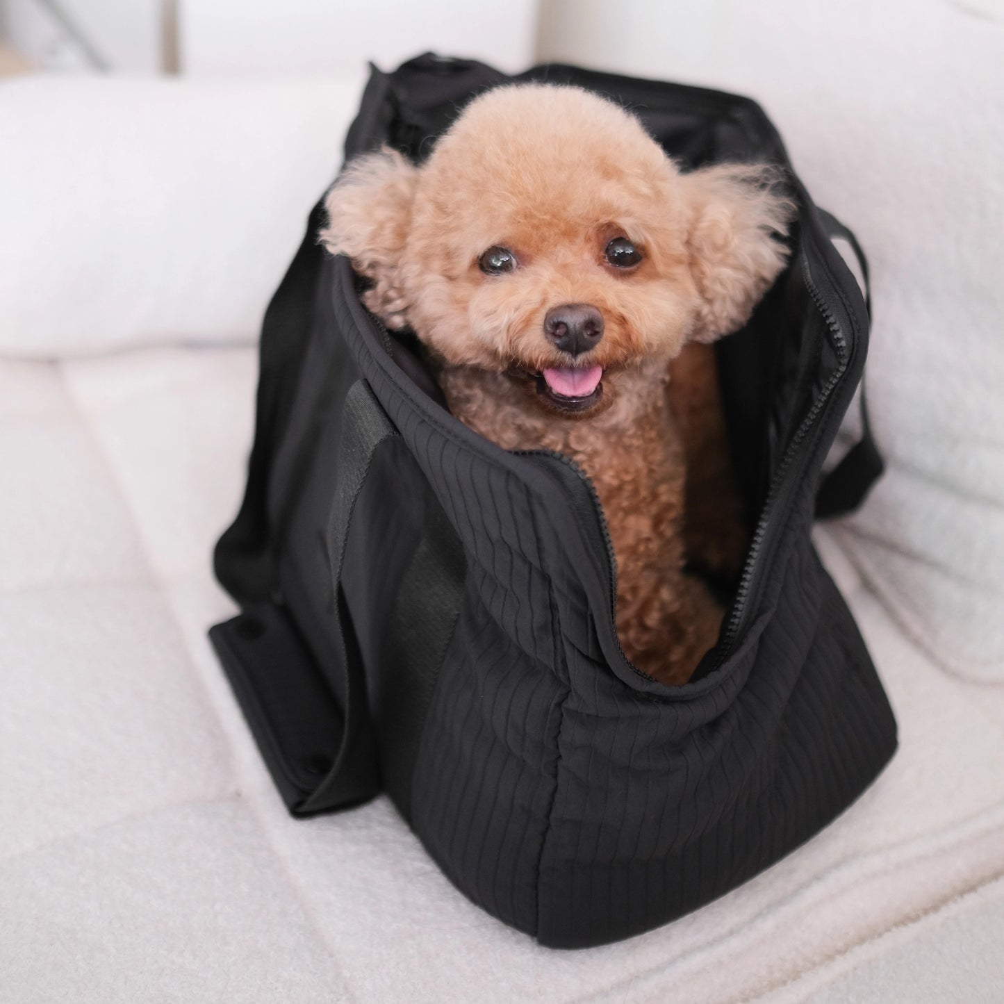 City Dog Carrier - Black