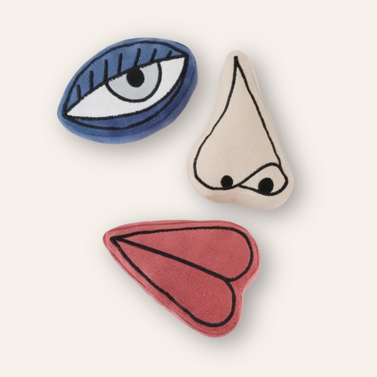 Picasso Enrichment Toy