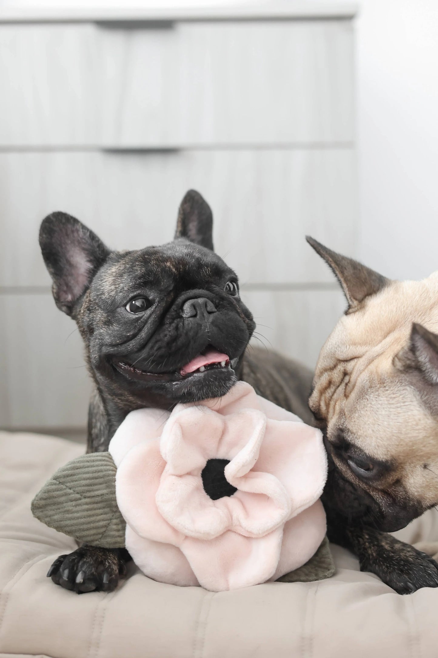 Poppy Enrichment Toy