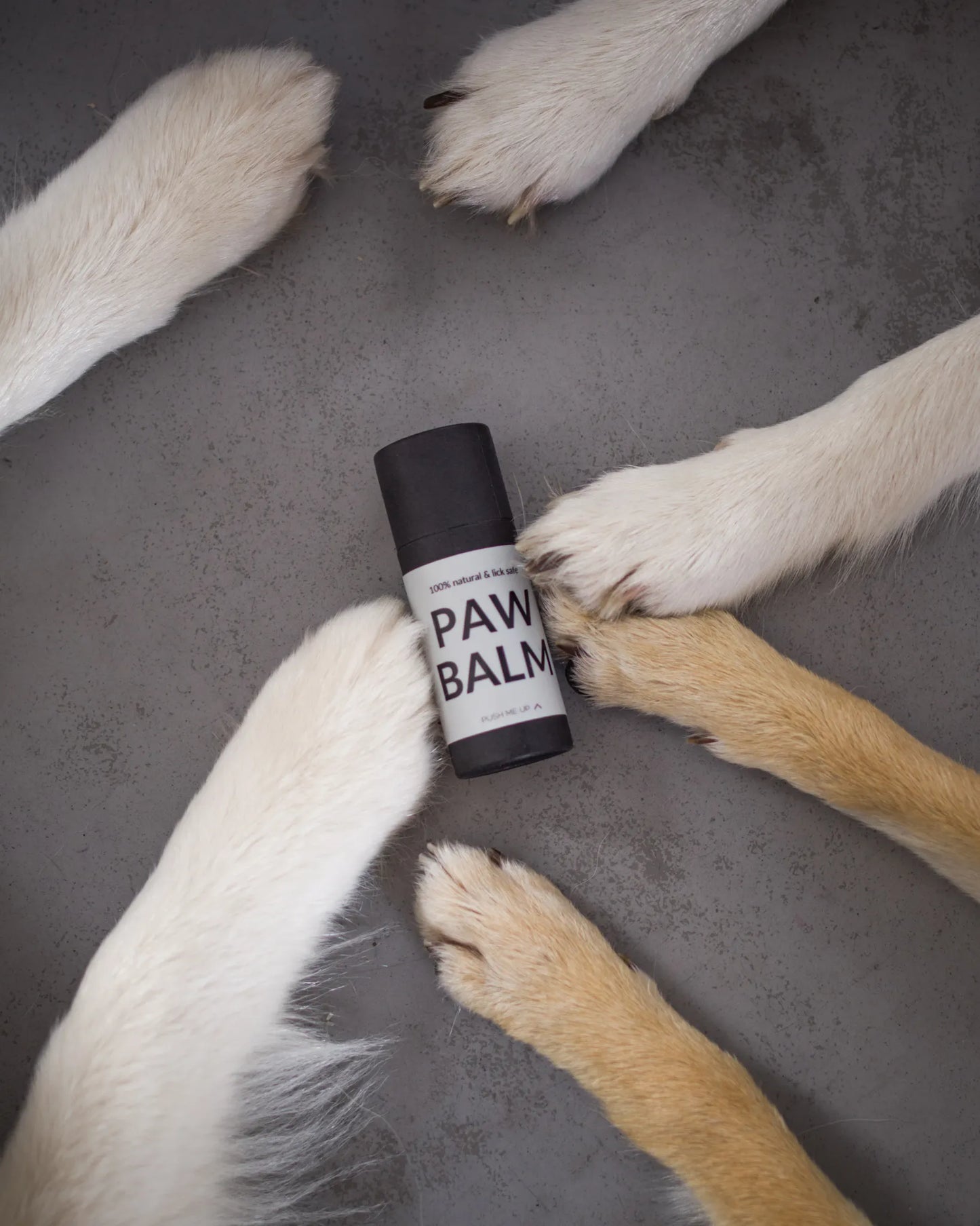 Paw Balm