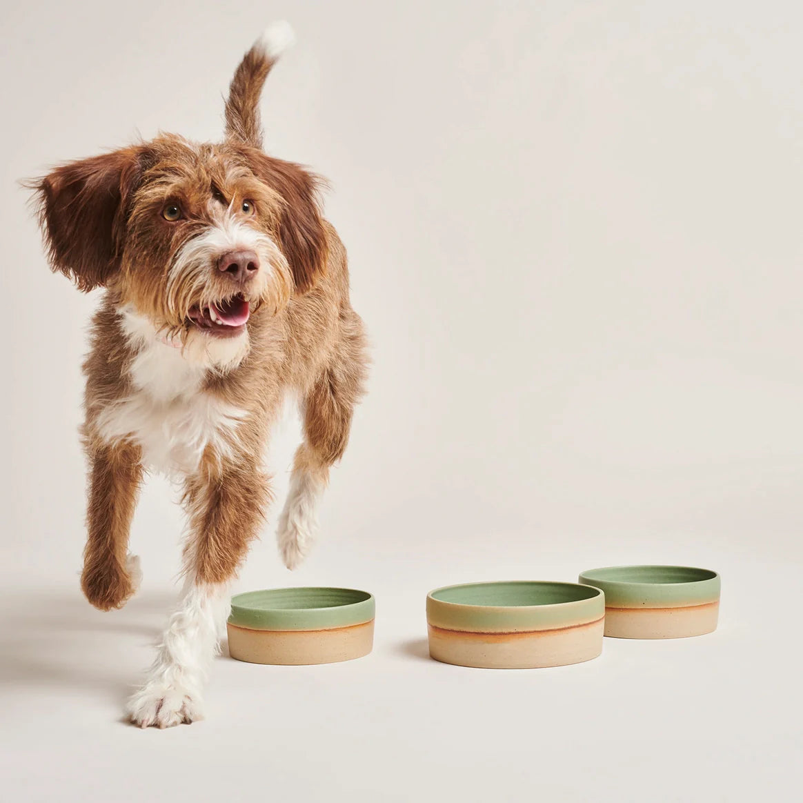 Ceramic Bowl Bo - Light Green