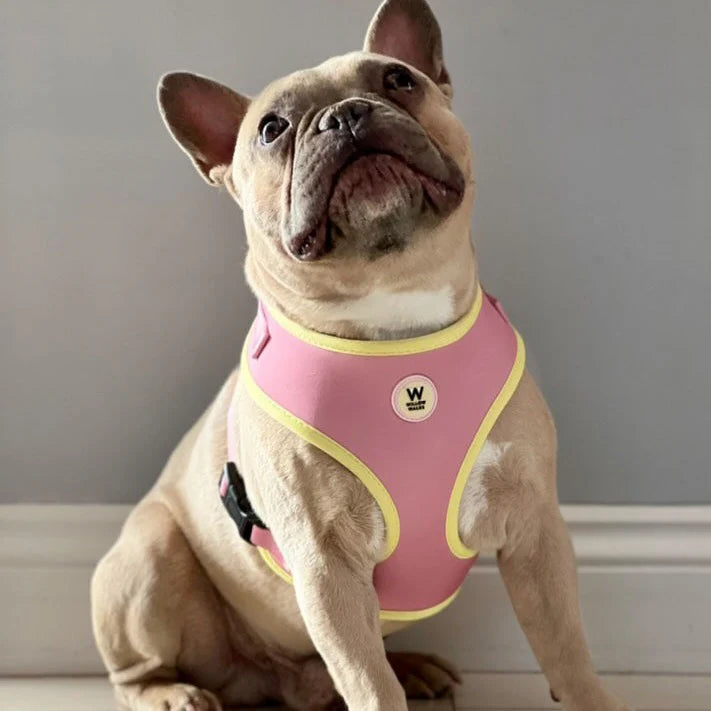 Adjustable Harness - Soft Pink / Yellow
