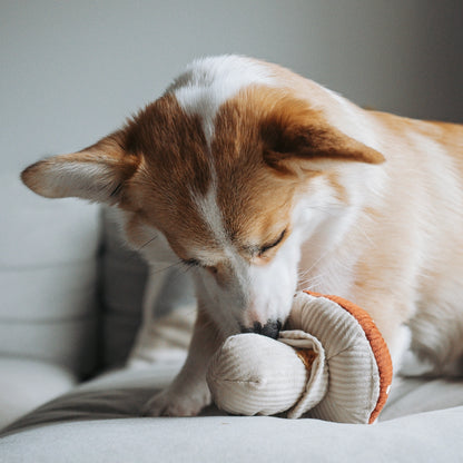 Shroom Enrichment Toy