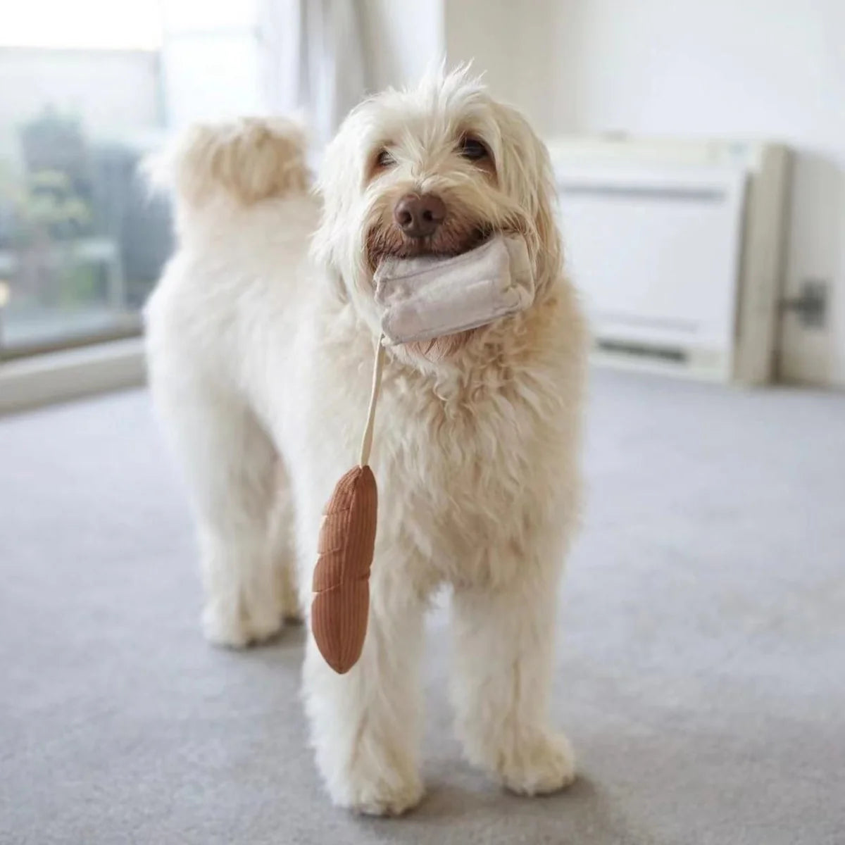 Mini Baguette Enrichment Toy
