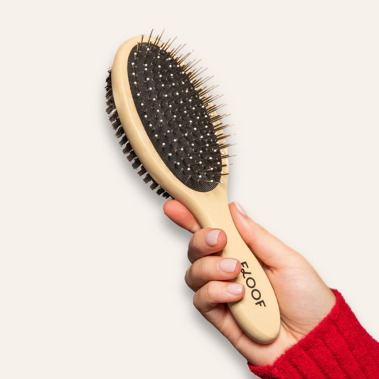 Double-Sided Daily Brush