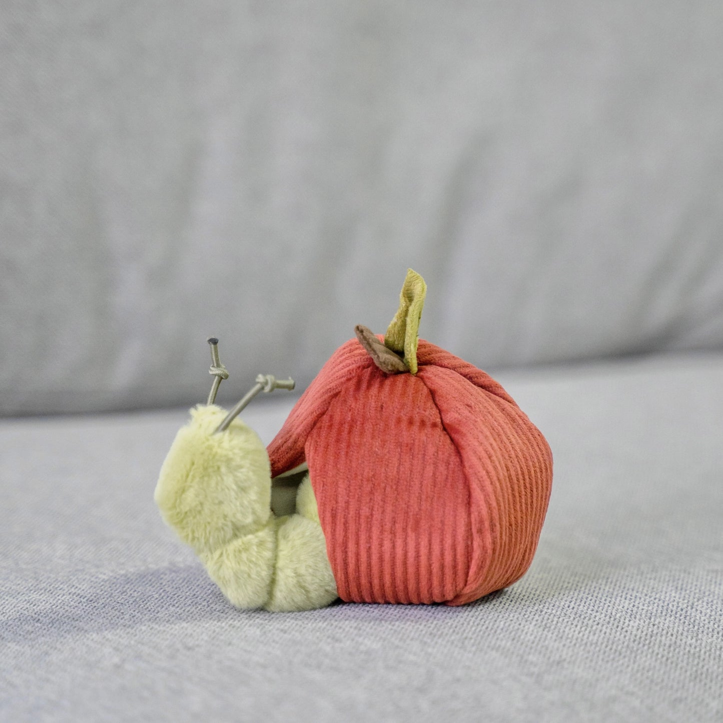Apple Enrichment Toy