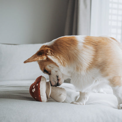 Shroom Enrichment Toy