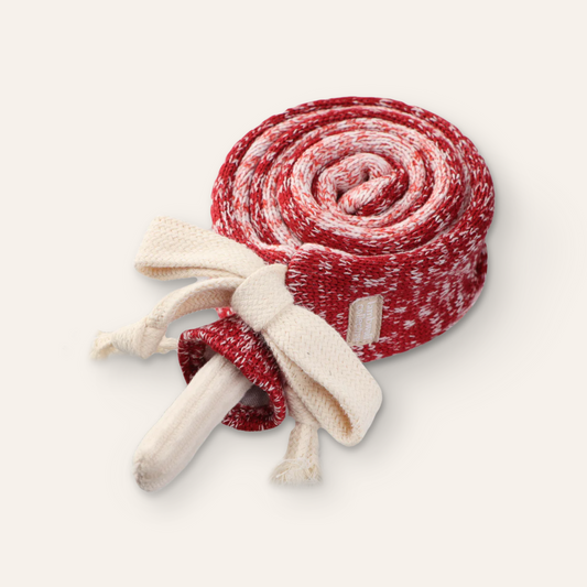 Lollipop Enrichment Toy