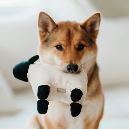 Dolly Plush Toy (+ Squeaker)