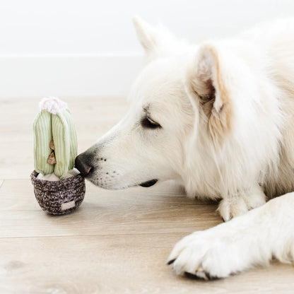 Cactus Enrichment Toy