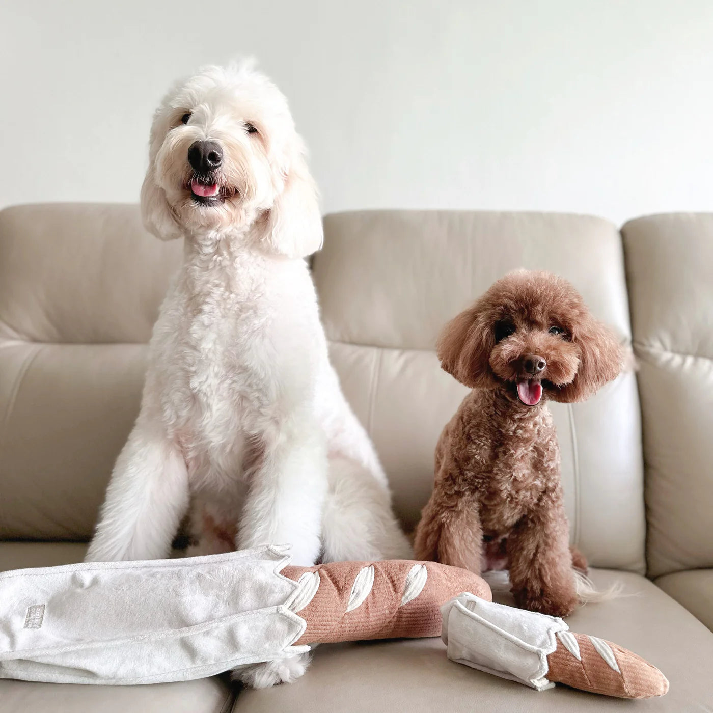 Mini Baguette Enrichment Toy
