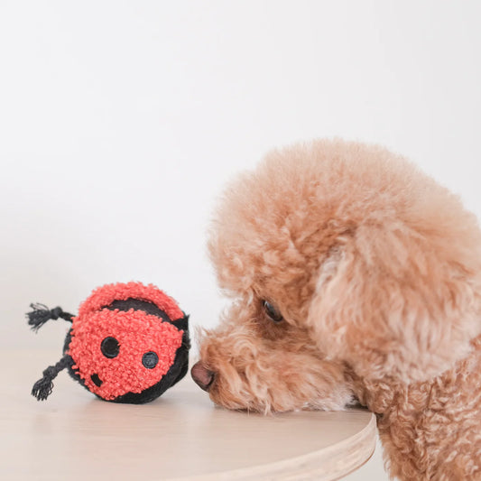 Ladybug Pop Enrichment / Snuffle Toy