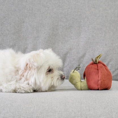 Apple Enrichment Toy