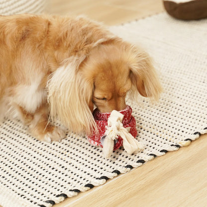 Lollipop Enrichment Toy