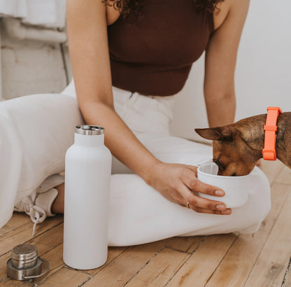 Dog & Me Water Bottle - White