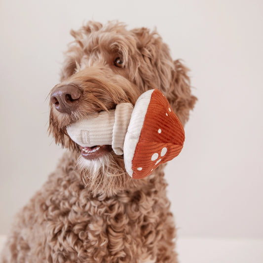 Shroom Enrichment Toy