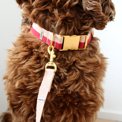 Collar - Red / Powder
