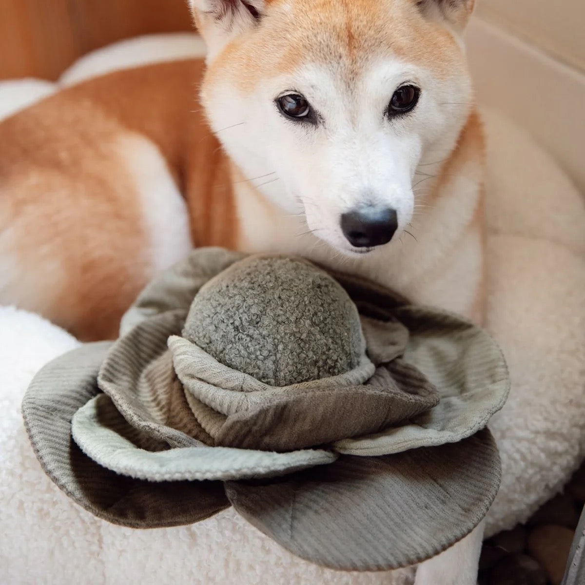 Large Cabbage Pop Enrichment Toy - Green