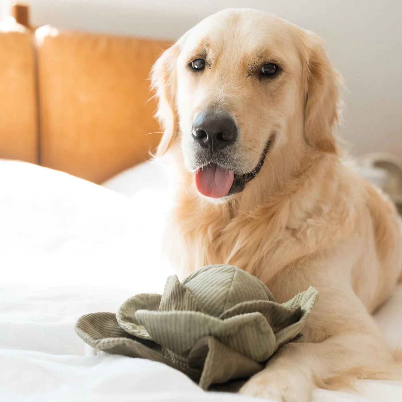 Large Cabbage Pop Enrichment Toy - Green