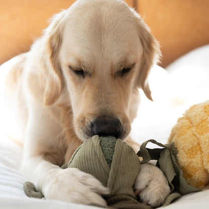 Large Cabbage Pop Enrichment Toy - Green