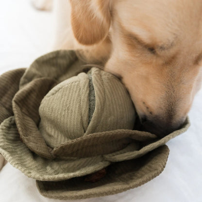 Large Cabbage Pop Enrichment Toy - Green