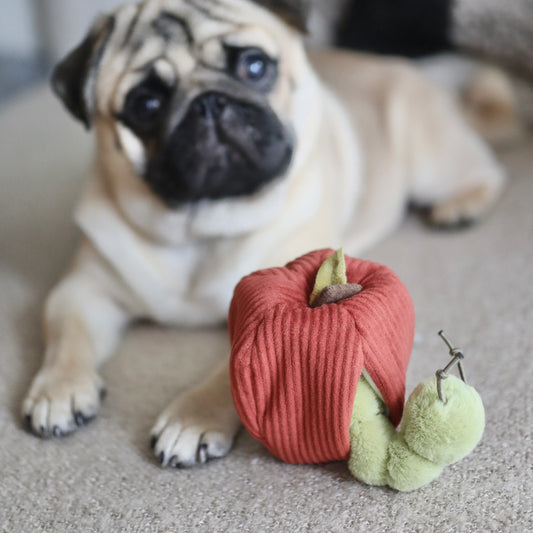 Apple Enrichment Toy