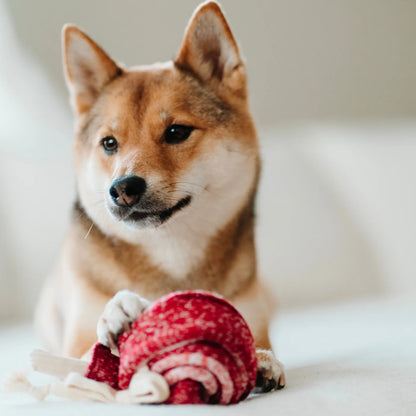 Lollipop Enrichment Toy
