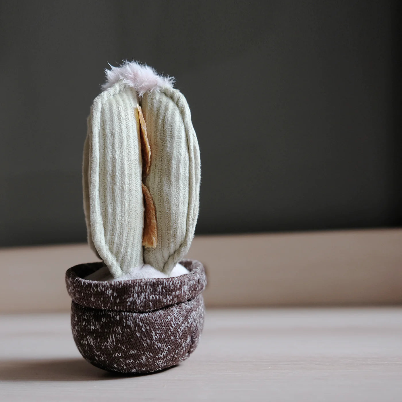 Cactus Enrichment Toy
