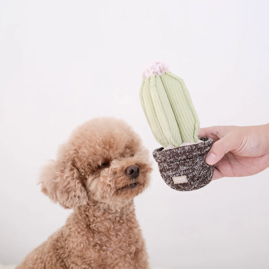 Cactus Enrichment Toy