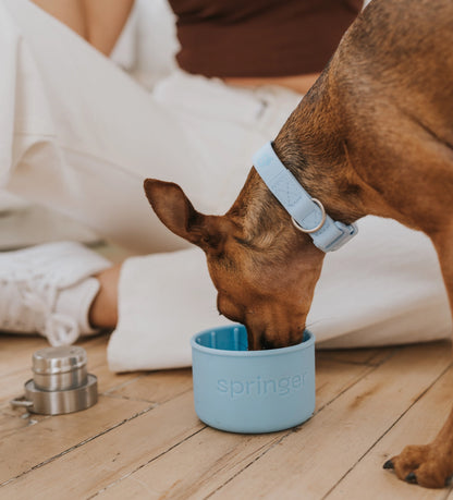 Dog & Me Water Bottle - Blue