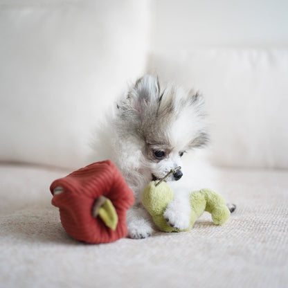 Apple Enrichment Toy